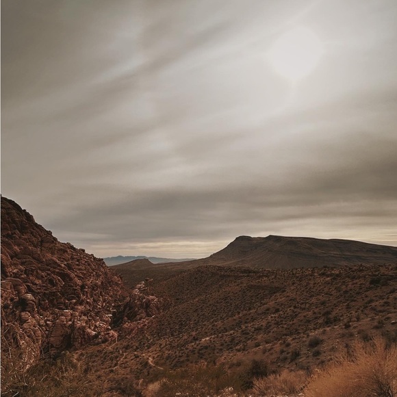 Meet your Posher, Veronica - Picture 1 of 1